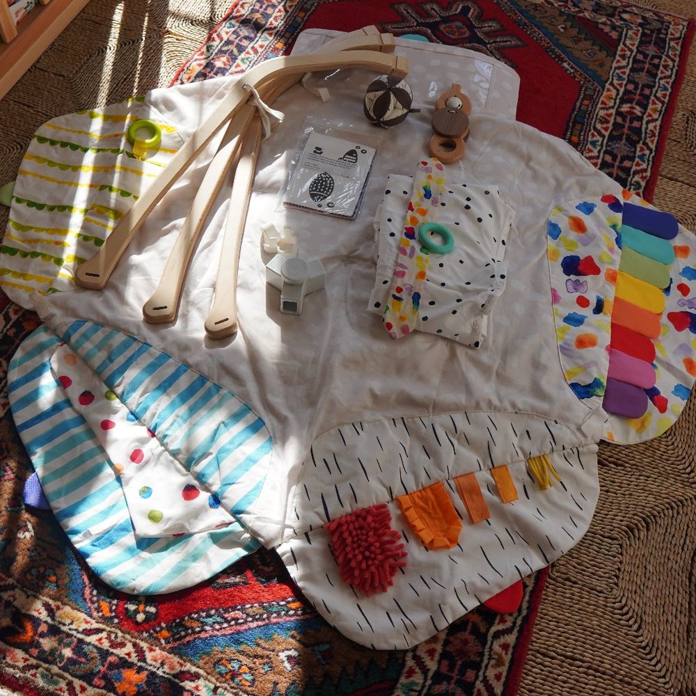 Lovevery Play Gym + extra cards!